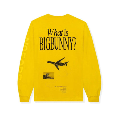 Playboy Aviation Wings N950PB Long Sleeve T-Shirt