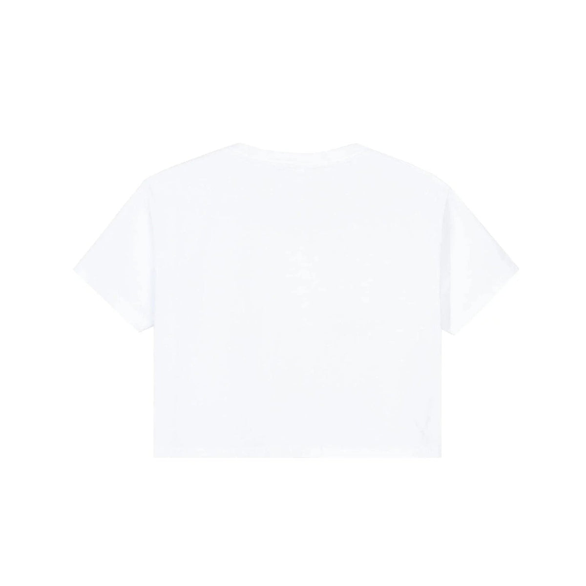 Playboy x Color Bars Spiral Women's Cropped T-Shirt